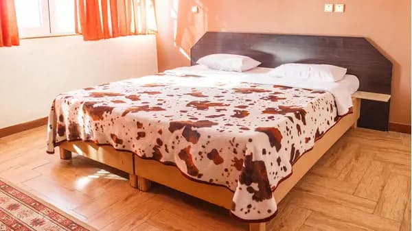 تصویر اتاق دو تخته دابل هتل کاوه اصفهان اتاق دو تخته دابل در هتل کاوه اصفهان